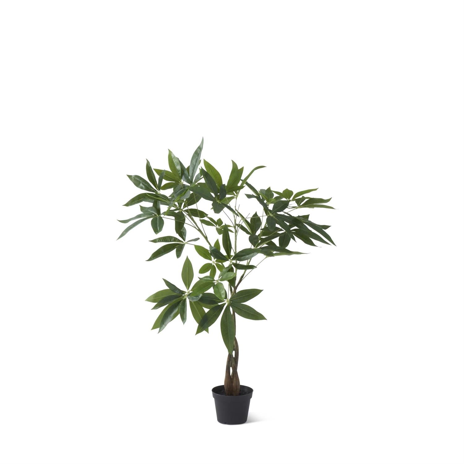 3 foot money tree 3 Foot Potted Money Tree w/Faux Dirt