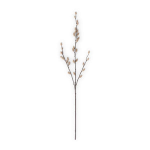 33 Inch Tan Pussy Willow Stem