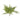 17 Inch Mixed Fern Bush