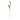 26.75 Inch Fuchsia Silk w/Real Touch Single Tulip