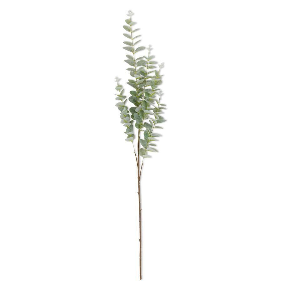 38 Inch Light Green Gunnii Eucalyptus Stem