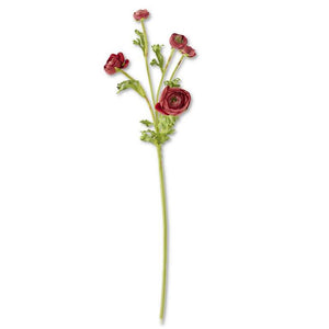 21.5 Inch Burgundy Real Touch 5 Head Ranunculus Stem