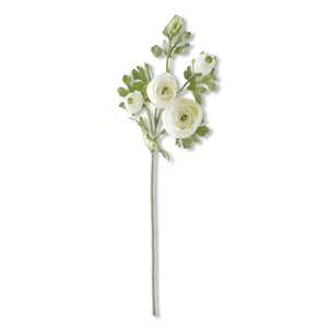 21.5 Inch White Real Touch 5 Head Ranunculus Stem