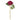 27 Inch Fuchsia Peony Stem