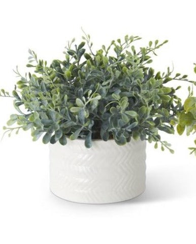 7.25 Inch Eucalyptus in Ribbed White Cream Vase