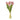 13 Inch Coral Real Touch Tulip Bundle