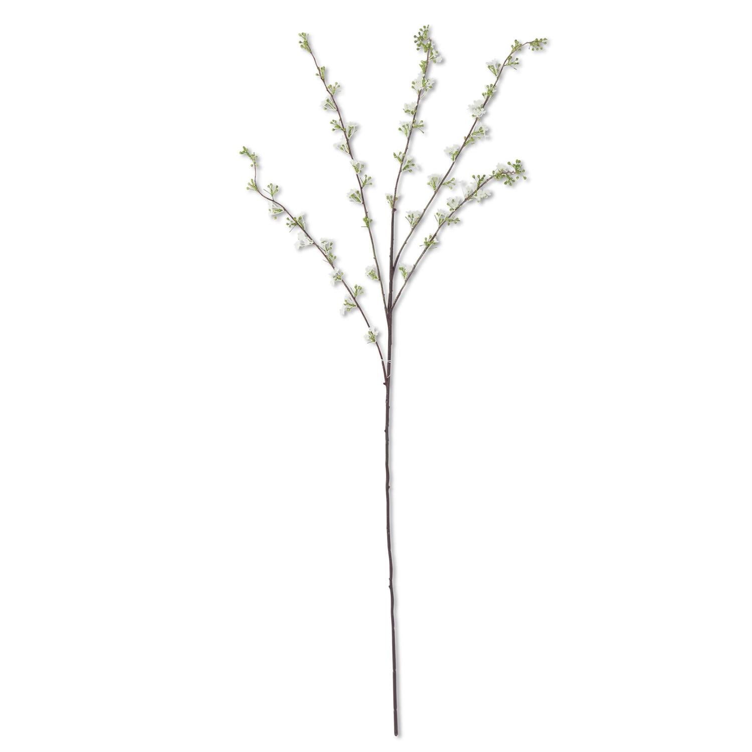 46 Inch White Hoary Willow Spray