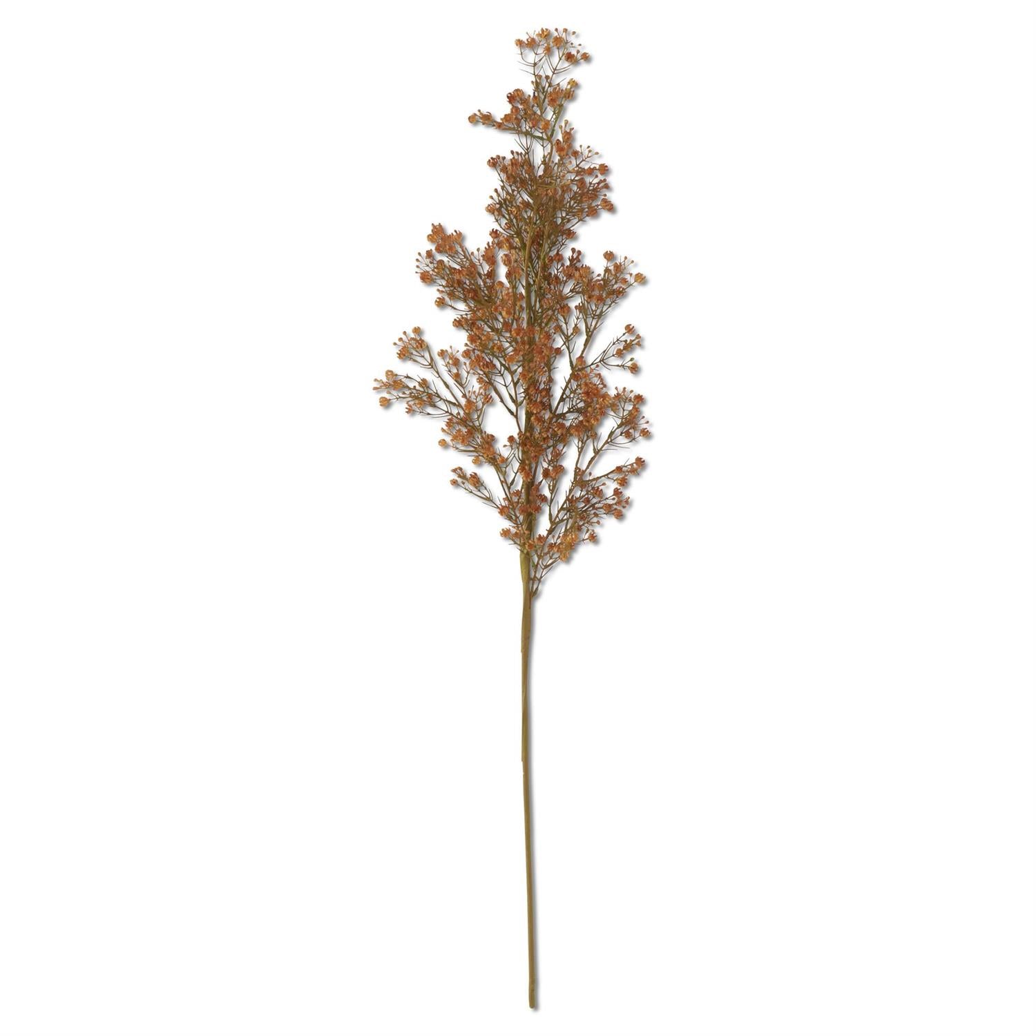 41 Inch Golden Brown Babys Breath Stem