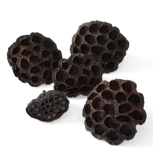 Bag of Dried Lotus (5pc)