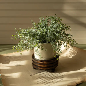 Arlen Ceramic Planter With Carved Wood Plant Stand