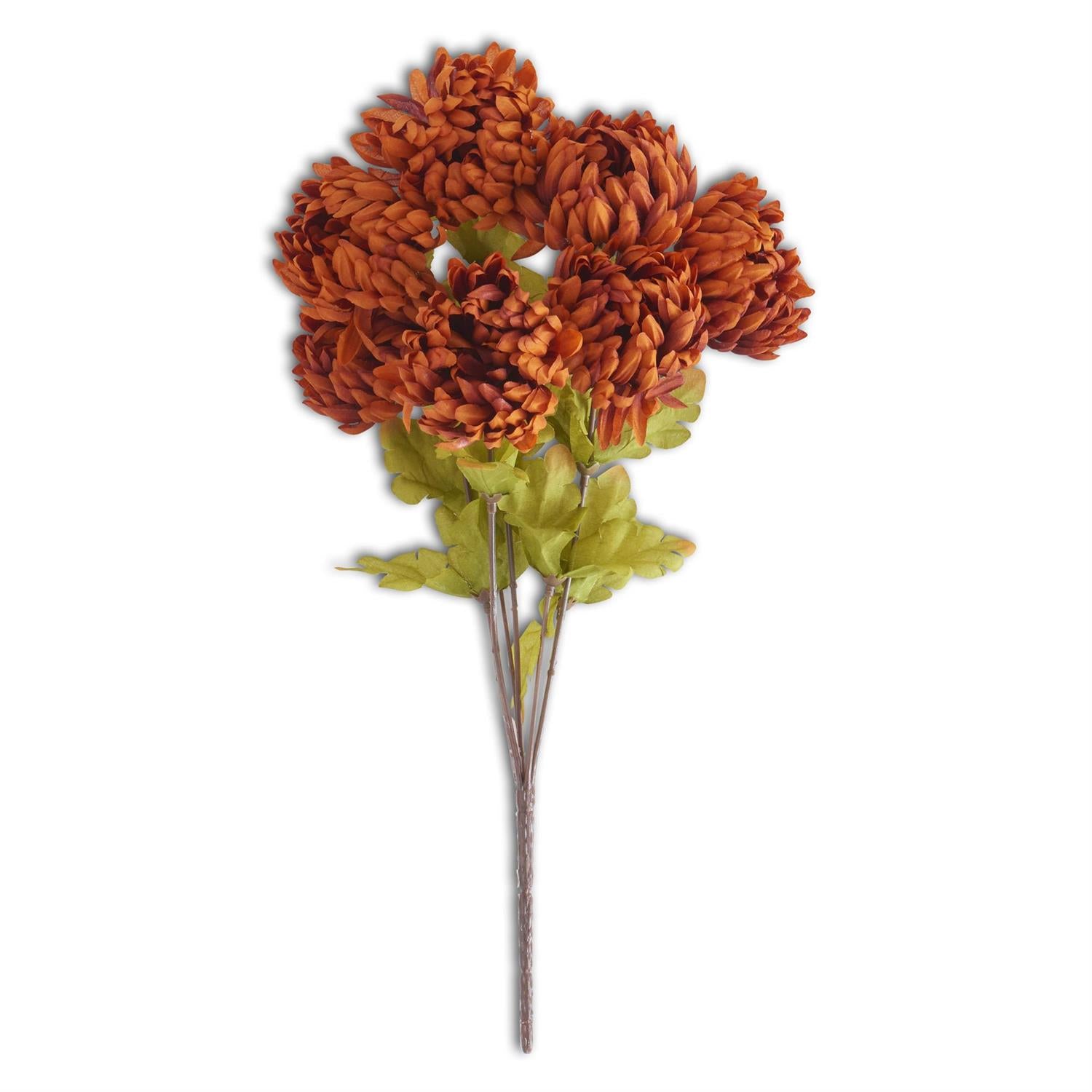 21 Inch Rust Mum Bush