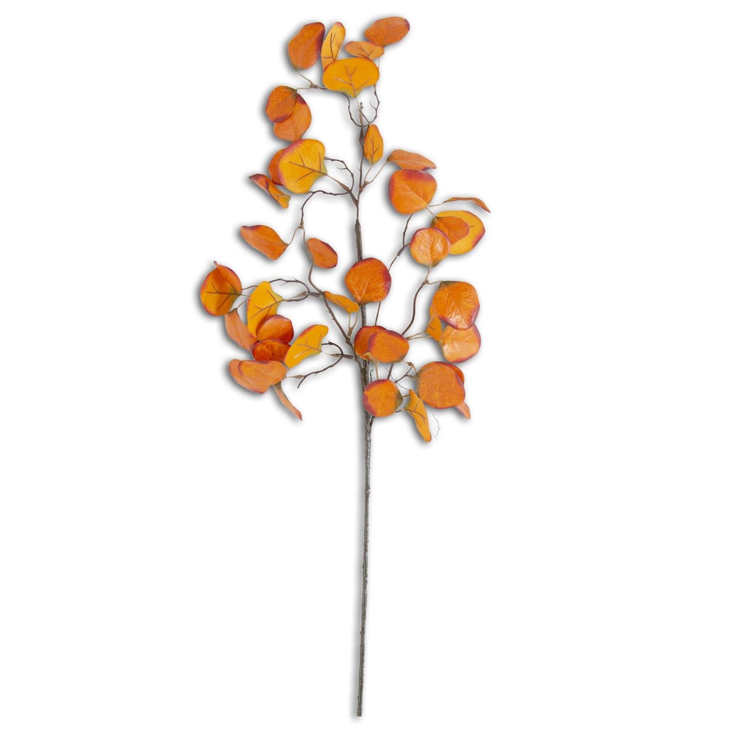 28 Inch Orange Gumdrop Eucalyptus Stem