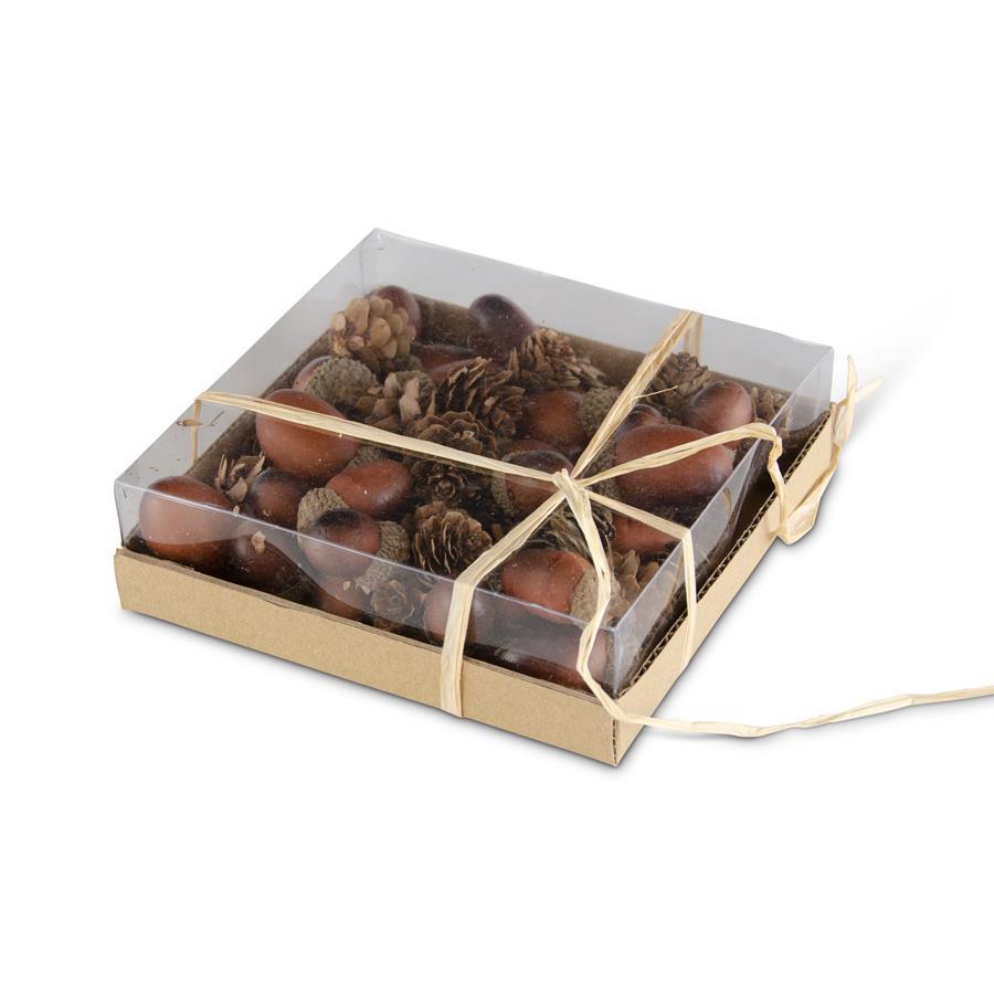 5.75 Inch Box of 24 Assorted Dark Brown Acorn
