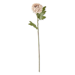 24.5 Inch Cream Mum Stem