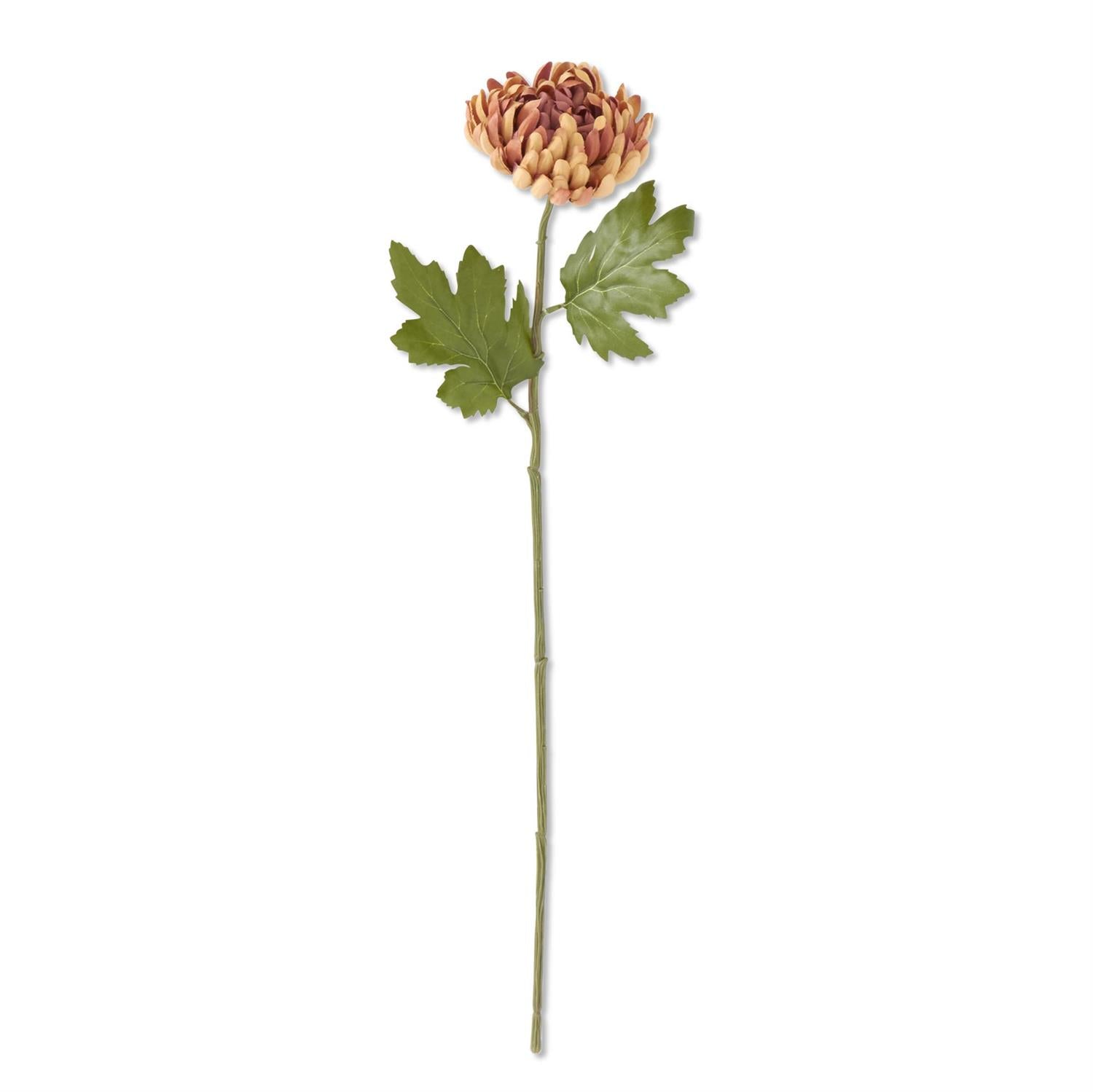 24.5 Inch Rust Mum Stem