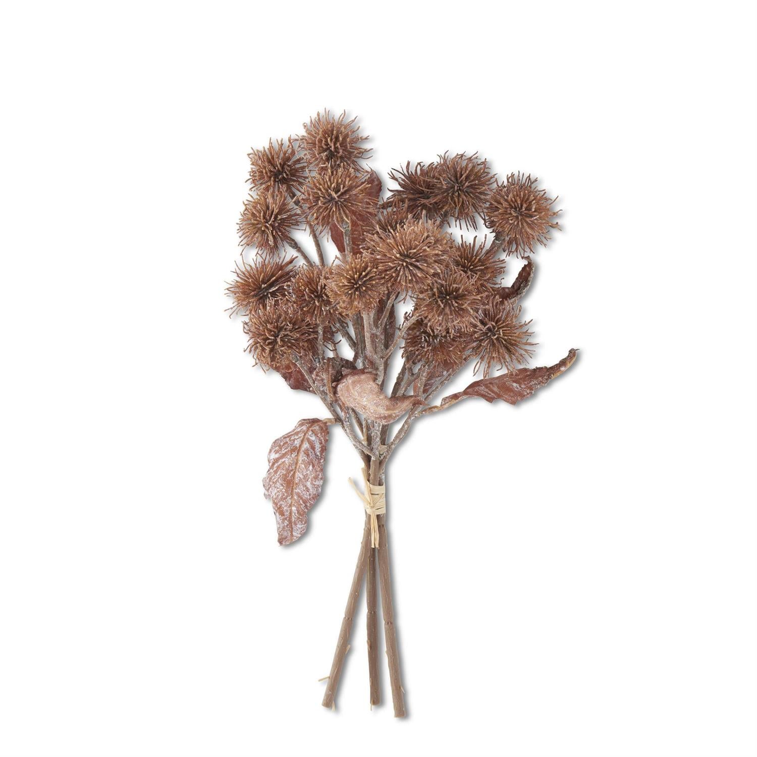 15 Inch Light Brown Sycamore Fruit Bundle