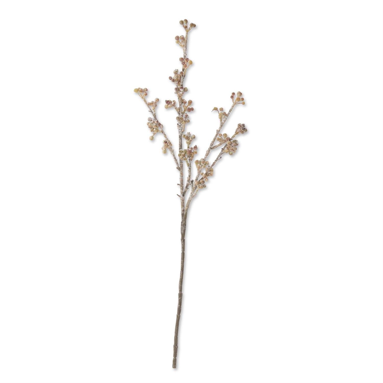 24 Inch Powdered Light Brown Berry Stem