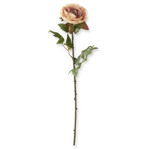 22 Inch Real Touch Cream Peony