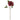 16 Inch Real Touch Burgundy Dahlia Stem