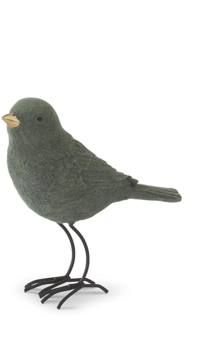 Green Velvet Bird