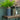 10" BLACK & BROWN TWO TONE VASE