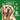 Dogs My Sticker Paintings