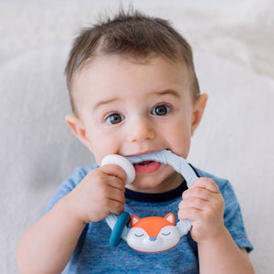 Ritzy Rattle™ Silicone Teether Rattles