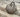 3 Inch Tan Resin Faux Woodgrain Filler Pumpkin