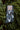 JD Buck Socks Bucks