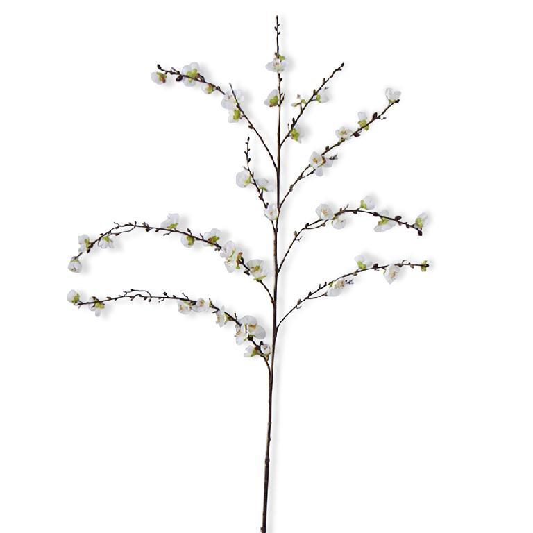 50 Inch White Cherry Blossom Stem