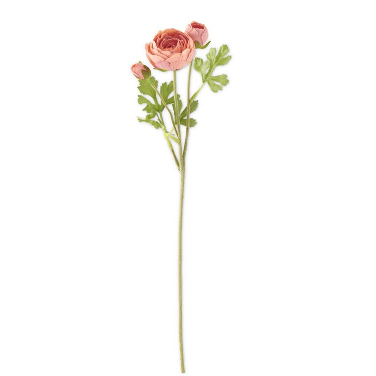 23in Coral Ranunculus Stem