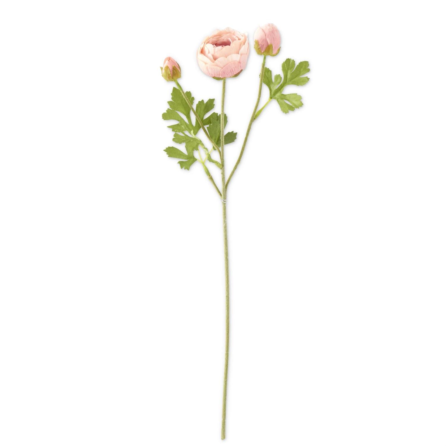 23 Inch Light Pink Real Touch 3 Head Ranunculus Stem