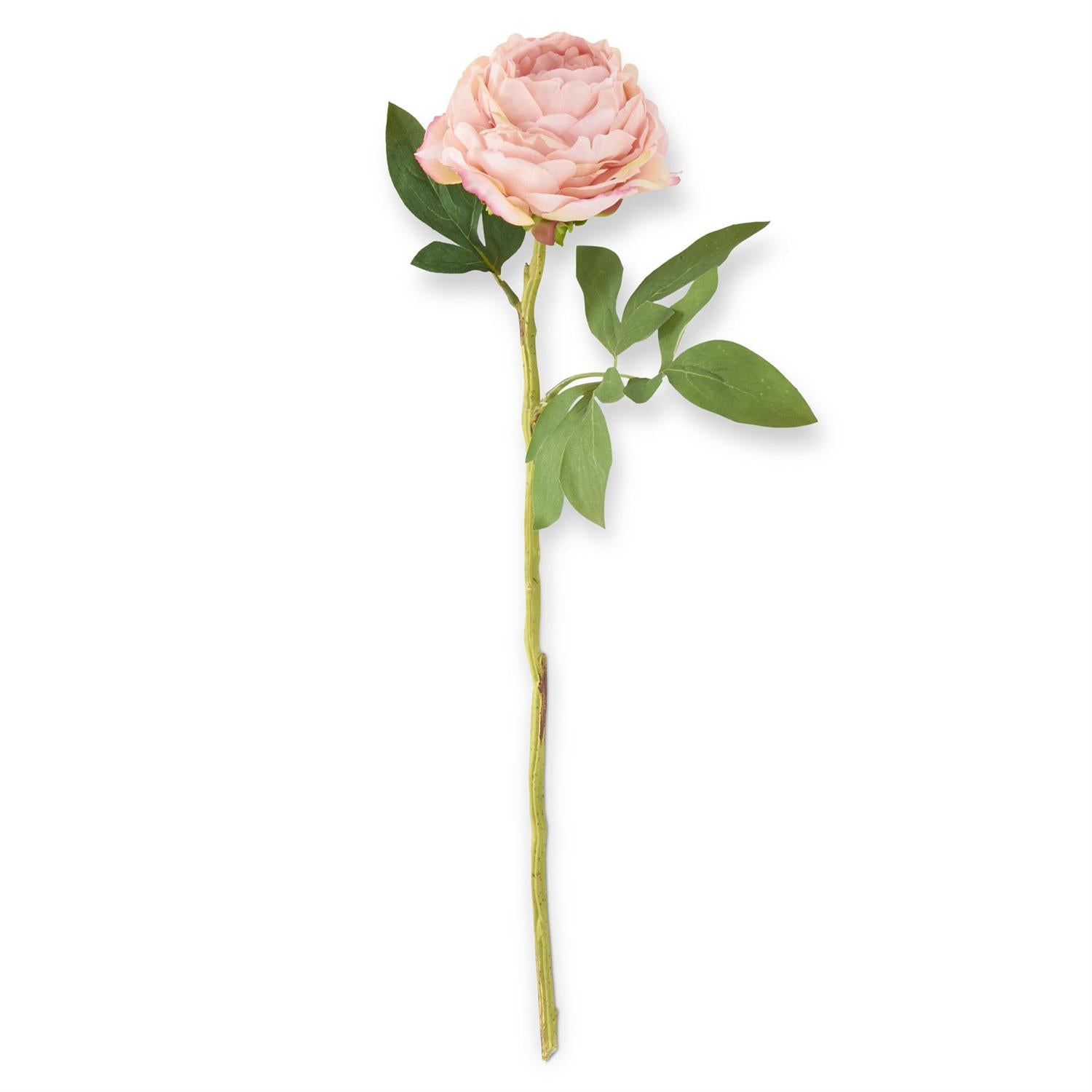 27 Inch Pink Peony Stem