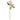 27 Inch Pink Peony Stem