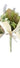 13 in Assortment Botanical Bundle #2