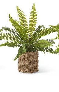 #2- Ferns in Round Woven Basket