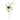 33 Inch Twig Bird Nest Stem