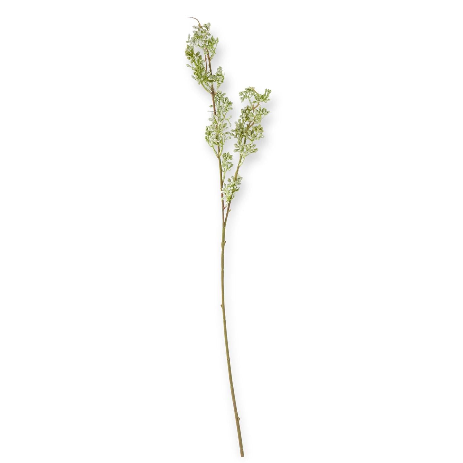 31 Inch Powdered Green Bud Stem