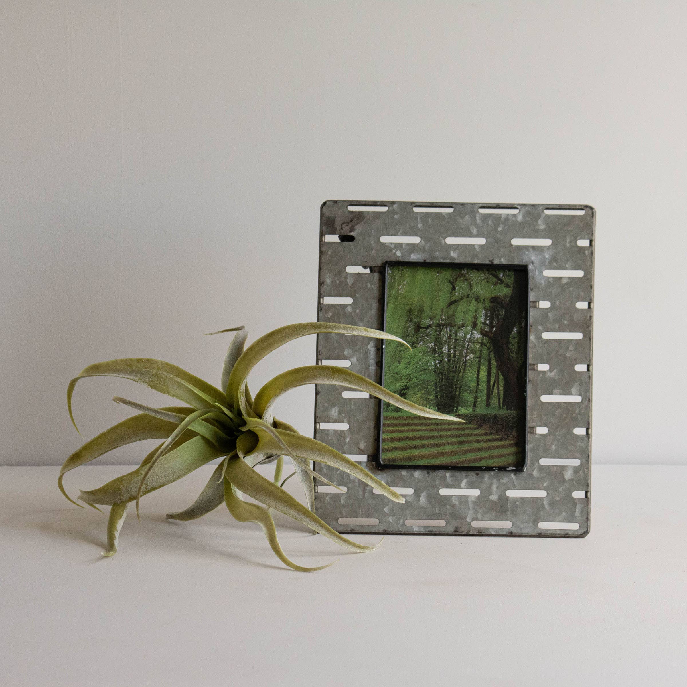 4X6 Zetta Photo Frame