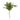 18in Boxwood Stem