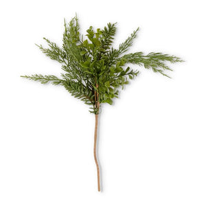 18in Boxwood Stem