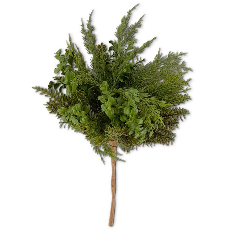 20in Boxwood & Pine Bush