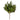 20in Boxwood & Pine Bush