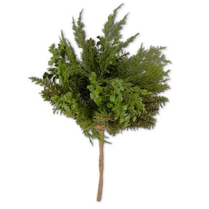 20in Boxwood & Pine Bush