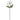 28in White Poinsettia Stem