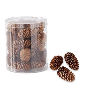 6.5in Long Brown Pinecones